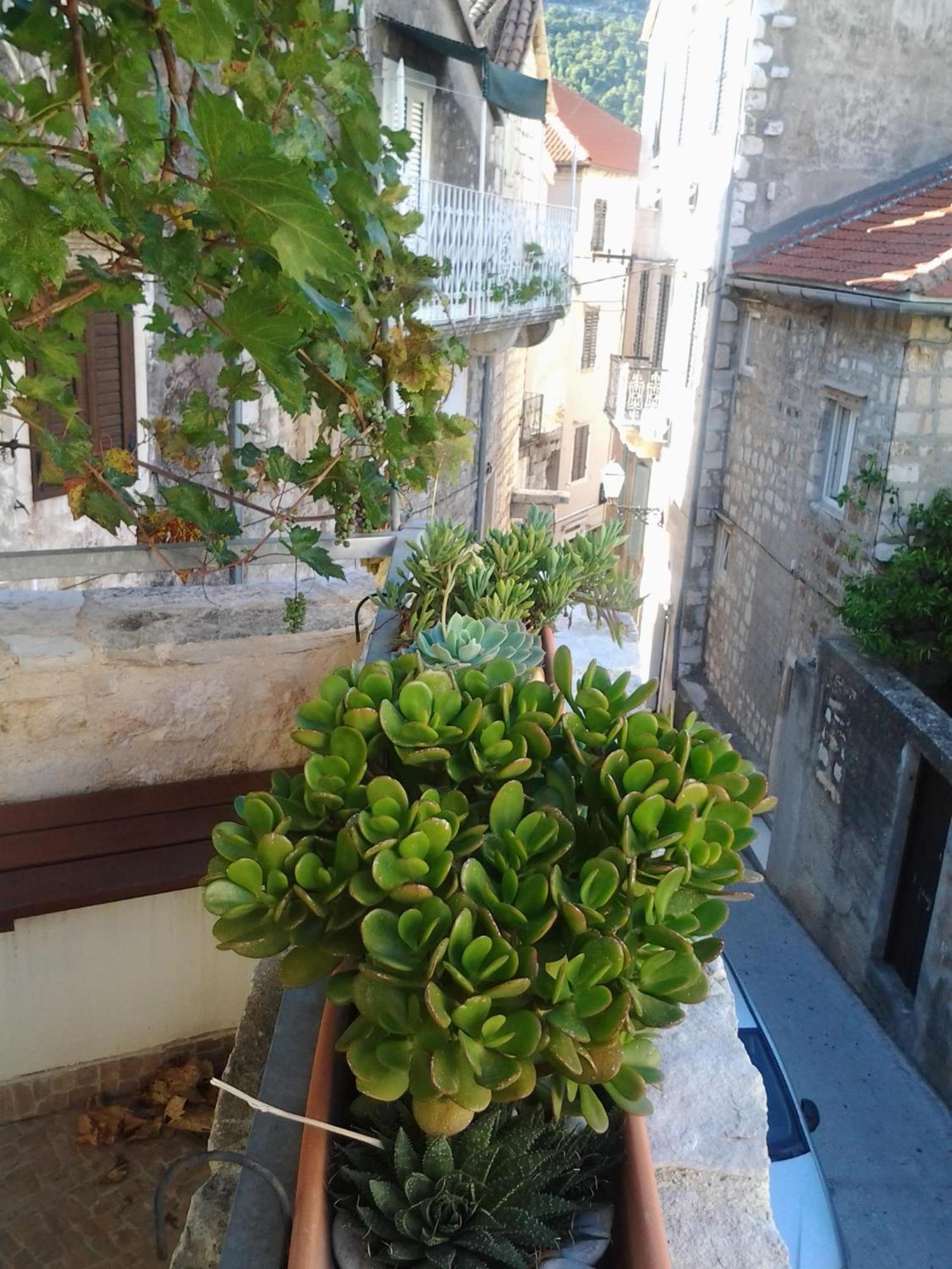 Apartments Donika Komiža الغرفة الصورة