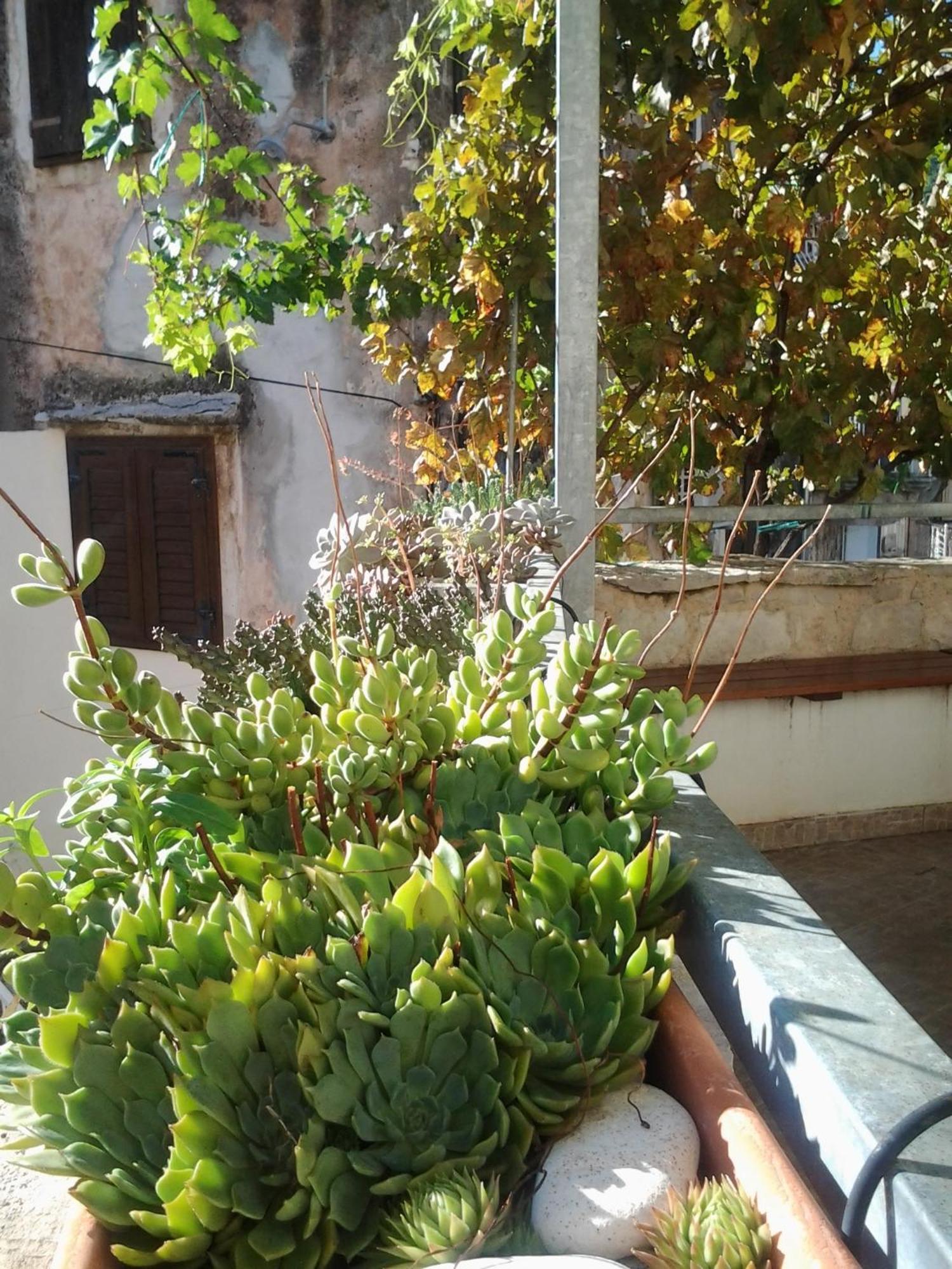 Apartments Donika Komiža الغرفة الصورة
