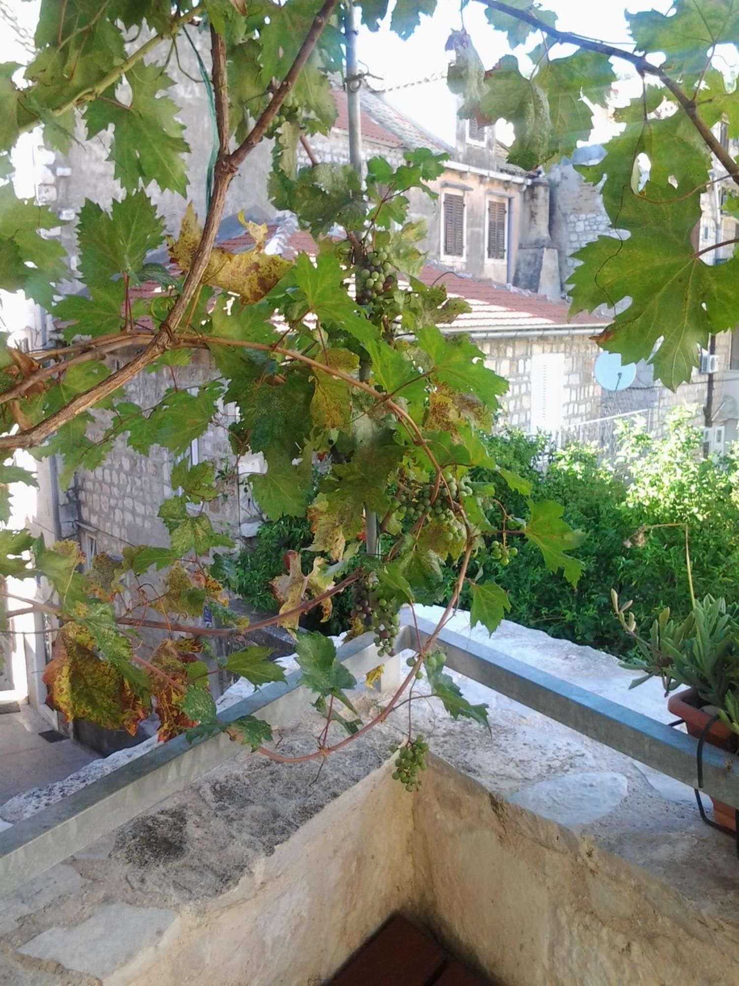 Apartments Donika Komiža الغرفة الصورة